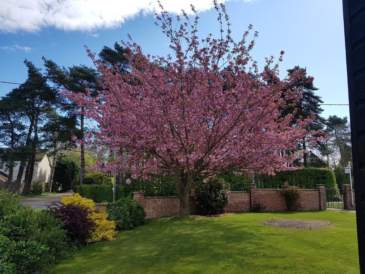 Leeward Bed & Breakfast South Walsham Экстерьер фото